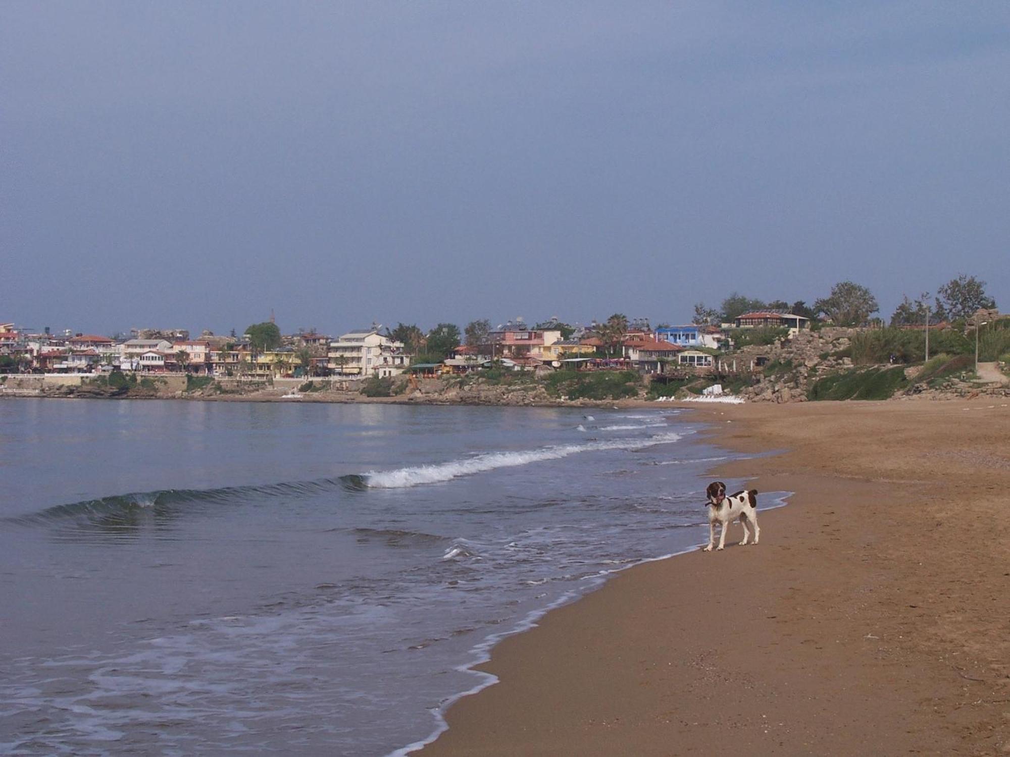 Beach House Hotel Sidé Extérieur photo